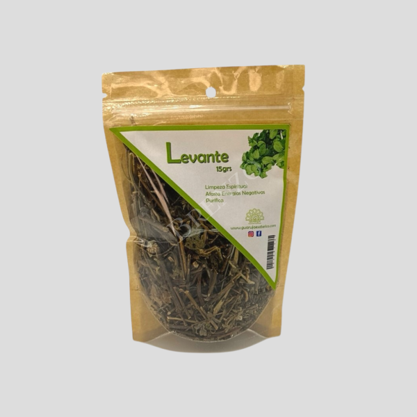 Erva Levante